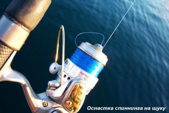 Леска