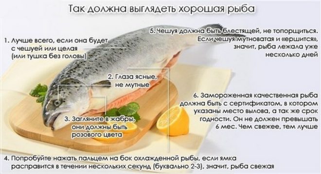 Минтай жареный. Калорийность на 100 грамм, белки, жиры, углеводы
