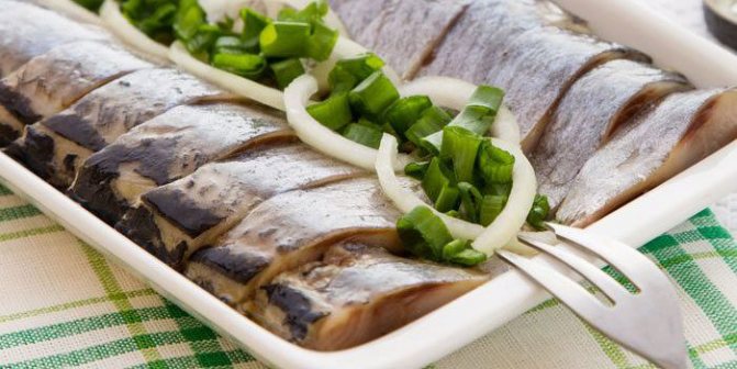 Посол селедки сухим способом в домашних условиях: рецепт и время приготовления