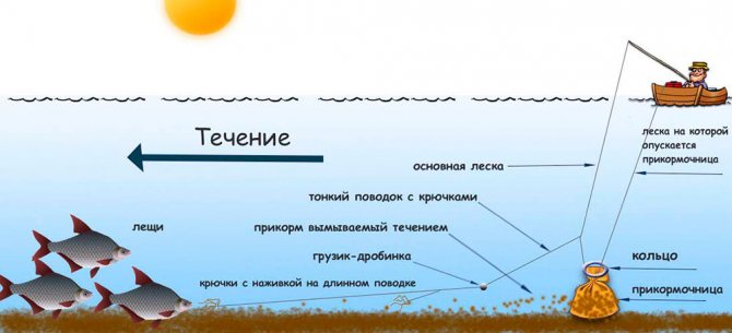 Схема ловли на кольцо и яйца