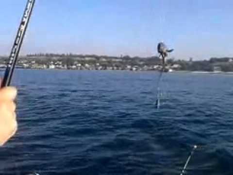Смотреть Ловля Спиннингом На Черном Море С Берега Воблерами ...