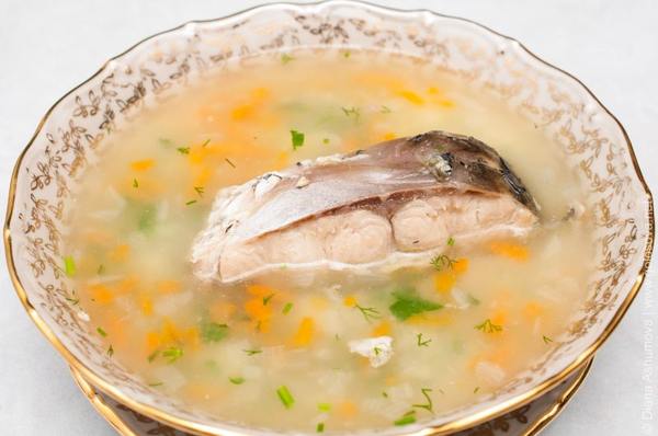 Уха из головы толстолобика – 7 вкусных рецептов приготовления